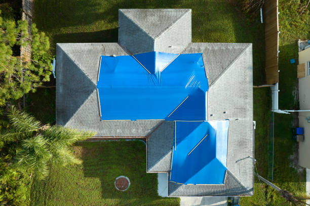 Best Roof Maintenance and Cleaning  in Crescent City, FL