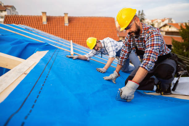 Best Chimney Flashing Repair  in Crescent City, FL