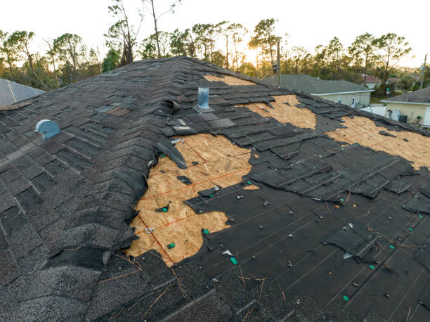 Best Asphalt Shingle Roofing  in Crescent City, FL