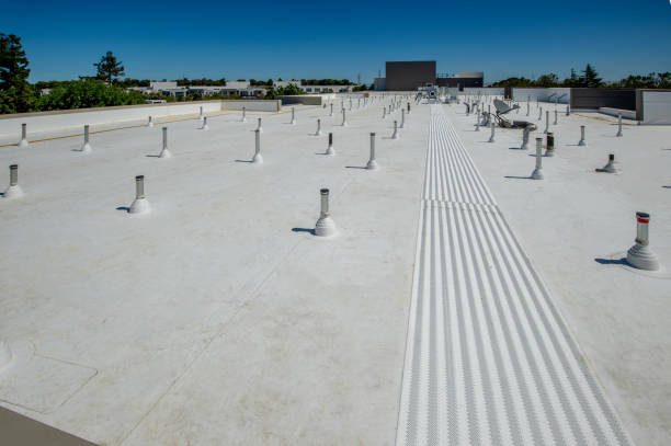 Best Metal Roofing Installation  in Crescent City, FL